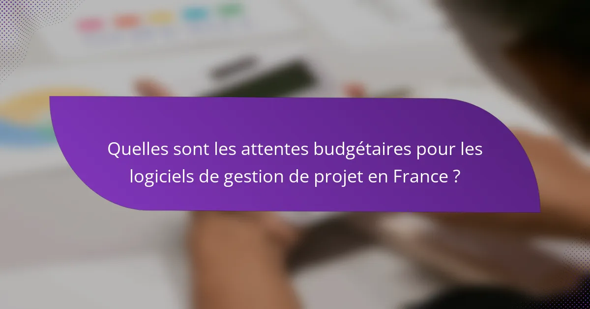 Quelles sont les attentes budgétaires pour les logiciels de gestion de projet en France ?